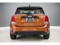 Chestnut - Countryman Cooper Photo No. 4