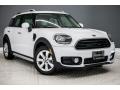 Light White - Countryman Cooper Photo No. 12