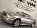 Desert Silver Metallic - SL 500 Roadster Photo No. 62