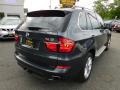 2012 Platinum Gray Metallic BMW X5 xDrive50i  photo #5