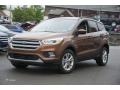 2017 Canyon Ridge Ford Escape SE 4WD  photo #1