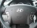 2009 Willow Gray Hyundai Sonata GLS V6  photo #19