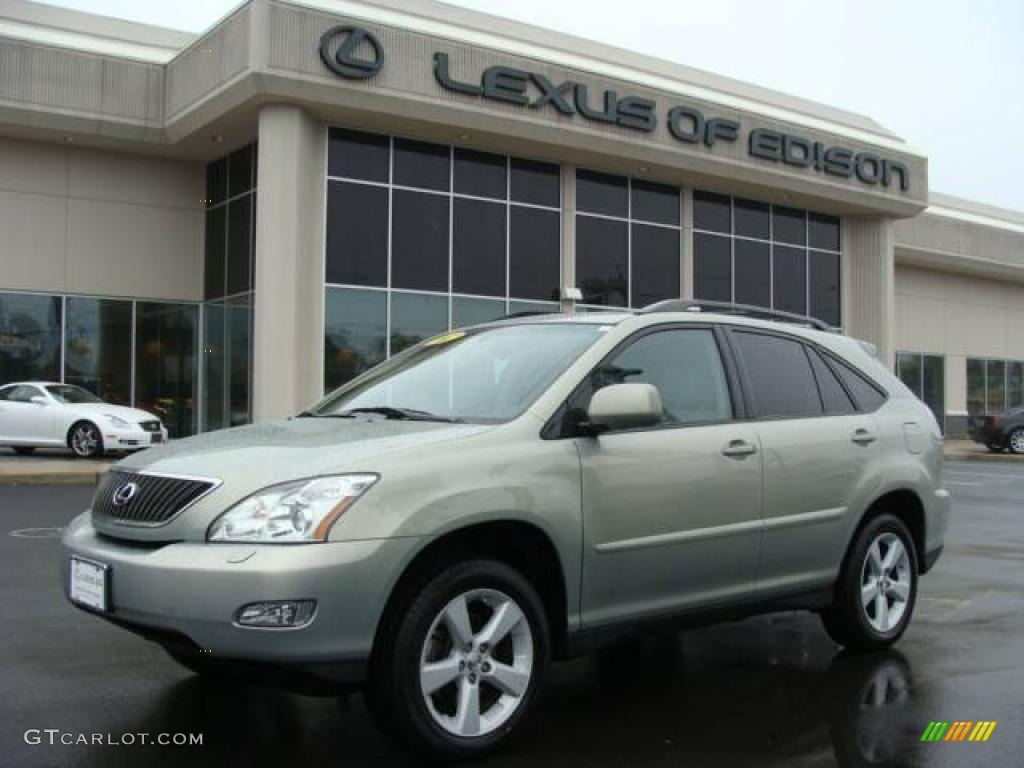 2007 RX 350 AWD - Bamboo Green Pearl / Light Gray photo #1