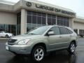 2007 Bamboo Green Pearl Lexus RX 350 AWD  photo #1