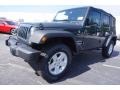 Rhino - Wrangler Unlimited Sport 4x4 Photo No. 1