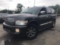 Silver Graphite Gray 2005 Infiniti QX 56 4WD