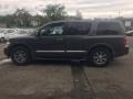 Silver Graphite Gray - QX 56 4WD Photo No. 3