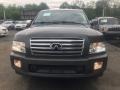 Silver Graphite Gray - QX 56 4WD Photo No. 9
