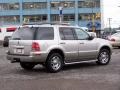 Silver Birch Metallic - Mountaineer Convenience AWD Photo No. 4