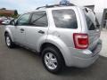 2008 Silver Metallic Ford Escape XLT V6  photo #8