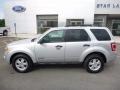 2008 Silver Metallic Ford Escape XLT V6  photo #9
