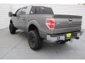 Sterling Grey Metallic - F150 XLT SuperCrew Photo No. 6