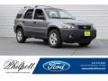 2007 Tungsten Grey Metallic Ford Escape XLT V6  photo #1