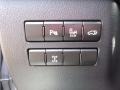 Nebula Gray Pearl - NX 200t AWD Photo No. 11