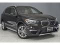 2017 Sparkling Brown Metallic BMW X1 sDrive28i  photo #12