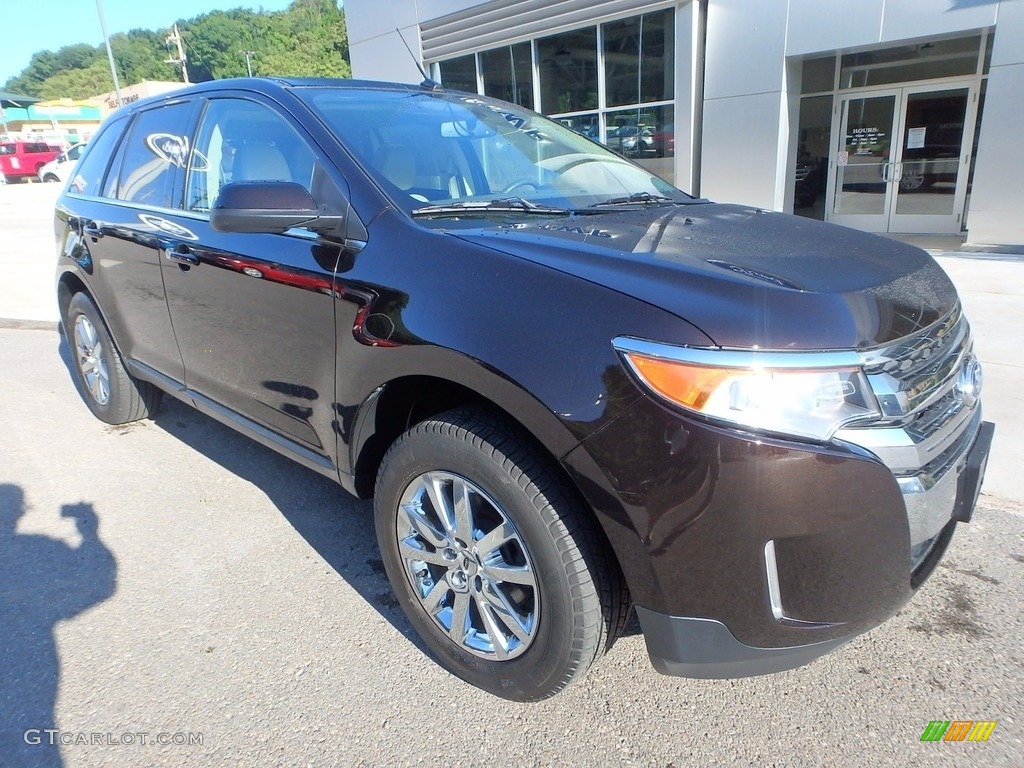 2014 Edge Limited - Kodiak Brown / Medium Light Stone photo #9