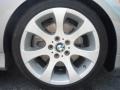 2006 Titanium Silver Metallic BMW 3 Series 330i Sedan  photo #10