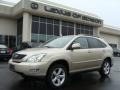 Savannah Beige Metallic - RX 330 AWD Photo No. 1