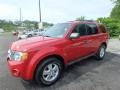 Sangria Red Metallic 2011 Ford Escape XLT 4WD