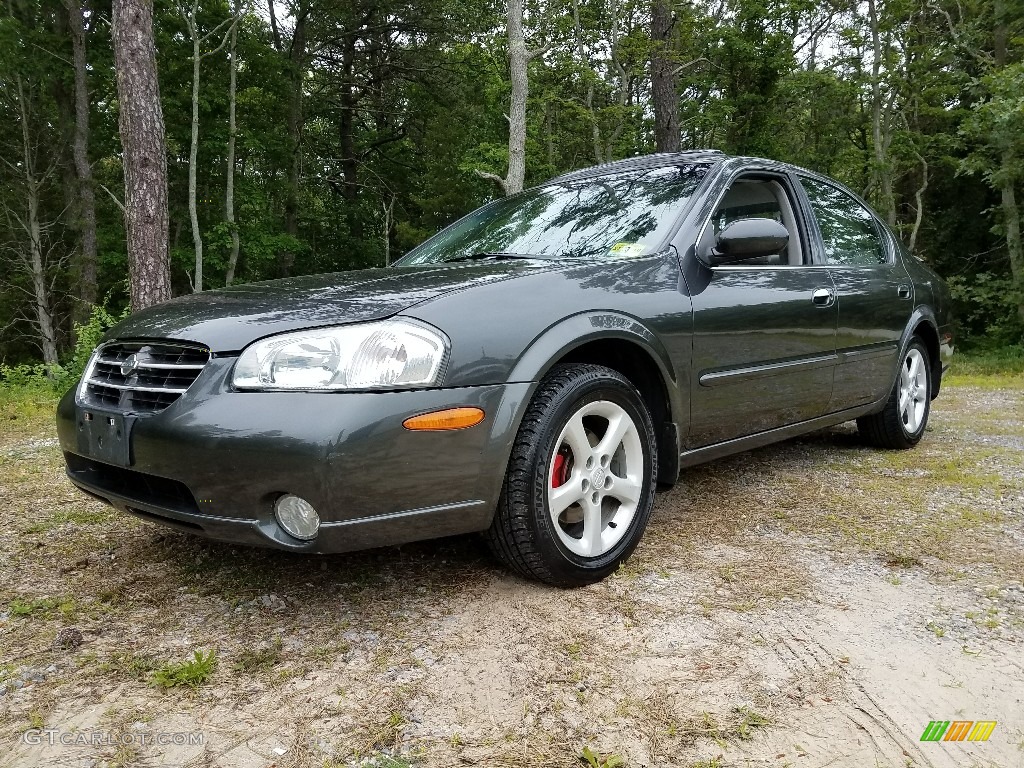 2000 Maxima GLE - Gray Lustre Metallic / Frost photo #1