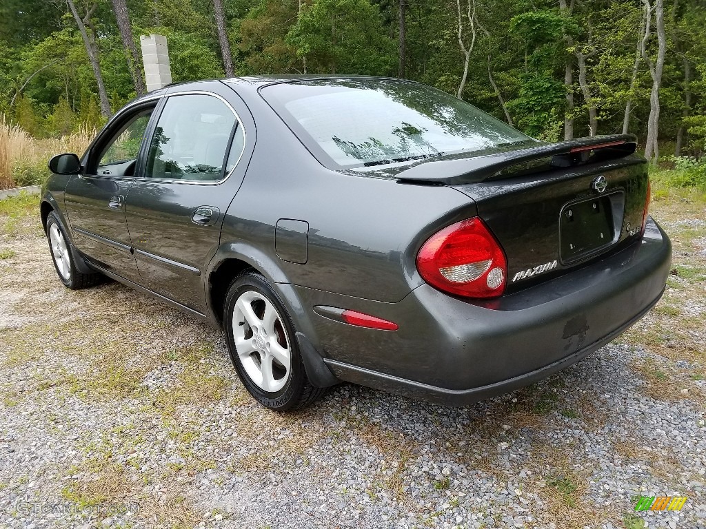 2000 Maxima GLE - Gray Lustre Metallic / Frost photo #6