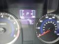 Triathlon Gray - Accent SE Hatchback Photo No. 15