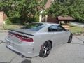 Destroyer Grey - Charger R/T Scat Pack Photo No. 6