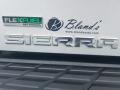 Quicksilver Metallic - Sierra 1500 Regular Cab 4x4 Photo No. 4