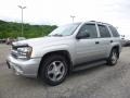 Silverstone Metallic 2006 Chevrolet TrailBlazer LS 4x4