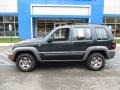 Deep Beryl Green Pearl - Liberty Sport 4x4 Photo No. 2