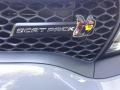 2017 Destroyer Grey Dodge Charger R/T Scat Pack  photo #31