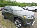 2017 Olive Green Pearl Jeep Compass Limited 4x4  photo #10