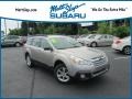 Tungsten Metallic 2014 Subaru Outback 2.5i Premium