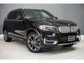 Jet Black - X5 sDrive35i Photo No. 12