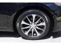 Crystal Black Pearl - TLX 2.4 Photo No. 9