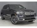 Dark Graphite Metallic - X5 sDrive35i Photo No. 12