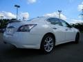 Winter Frost White - Maxima 3.5 SV Premium Photo No. 10