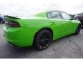 2017 Green Go Dodge Charger SE  photo #3