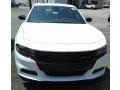 White Knuckle - Charger SXT AWD Photo No. 3
