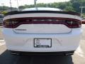White Knuckle - Charger SE AWD Photo No. 4