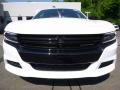 White Knuckle - Charger SE AWD Photo No. 7