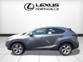 Nebula Gray Pearl - NX 200t AWD Photo No. 3