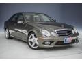 2009 Indium Grey Metallic Mercedes-Benz E 350 Sedan  photo #12