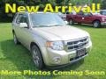 Gold Leaf Metallic 2010 Ford Escape Limited V6 4WD