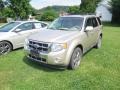Gold Leaf Metallic - Escape Limited V6 4WD Photo No. 3