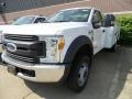 Oxford White 2017 Ford F550 Super Duty XL Regular Cab Chassis