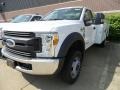 Oxford White - F550 Super Duty XL Regular Cab Chassis Photo No. 1