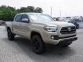 Quicksand - Tacoma SR5 Double Cab Photo No. 1