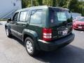 2010 Natural Green Pearl Jeep Liberty Sport 4x4  photo #2