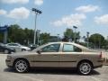 Ash Gold Metallic - S60 2.5T Photo No. 6